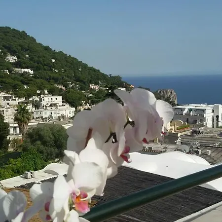 Maison d'hôtes Casa Costanza Capri